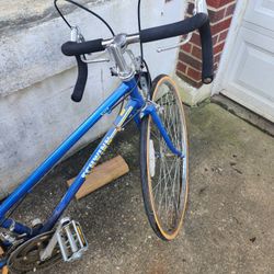Schwinn Bike 