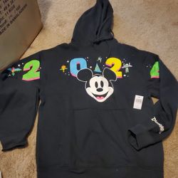 Disneyland Hoodie Size S 