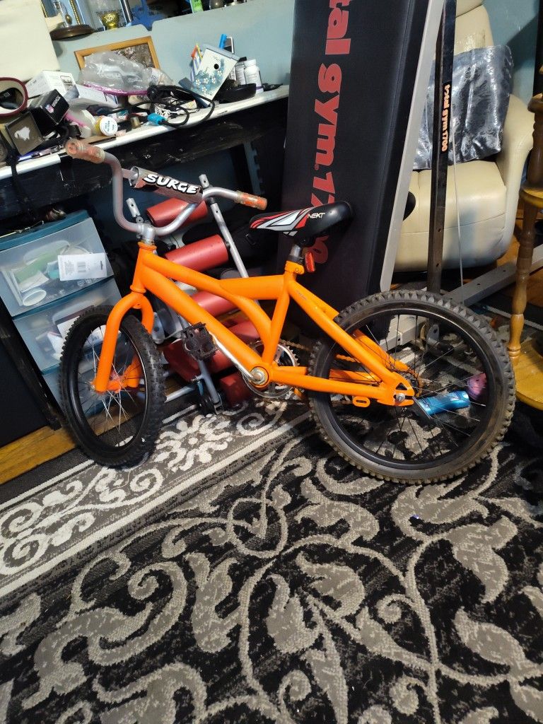 Boys Heavy Duty Surge X Bike