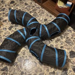 Cat tunnel