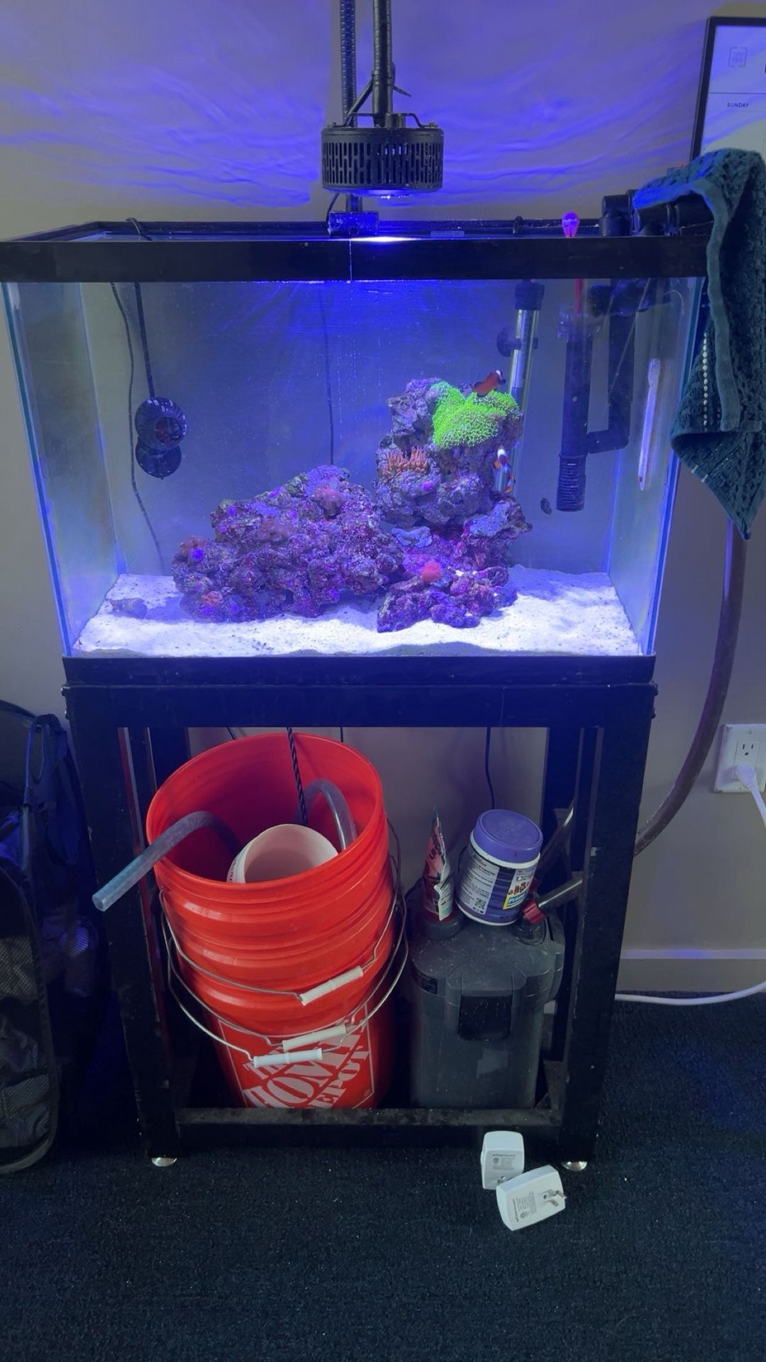 25 Gallon Fish Tank