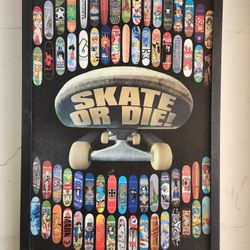 Skate Picture