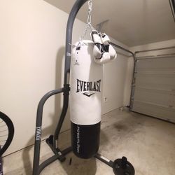 Everlasting Punching Bag + Stand + boxing Gloves