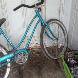 Beach Cruiser Original