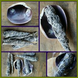 Ceremonial, Cleansing SAGE bundle with wampum quality quohog shell $20
