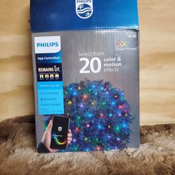 Christmas Light Net