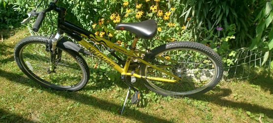 Bicycle for kids