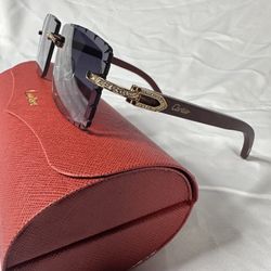 Sunglasses 