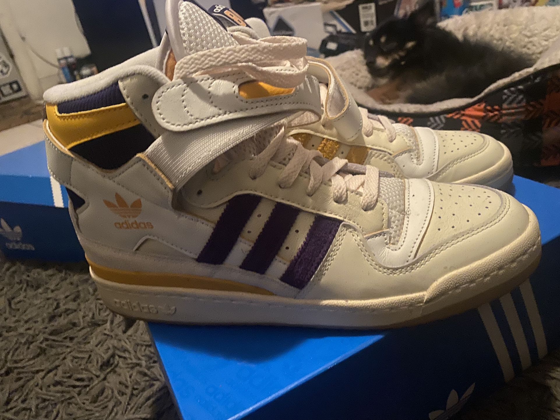 Adidas Forum 