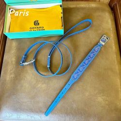 Luxury dog collar and leash set