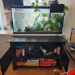 75 Gallon Fish Tank (With Decorations)