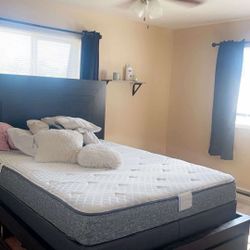 Queen Platform Bed 