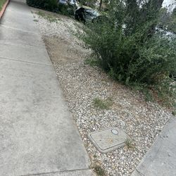 Garden Rocks Free