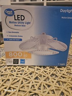 Motion Utility Light