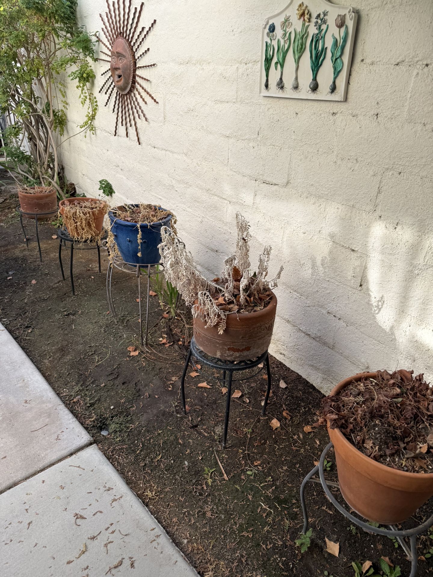 Pots And Plant Stands Various Sizes