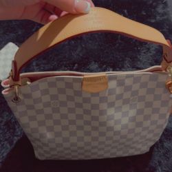 Louis Vuitton Handbag and Wallet