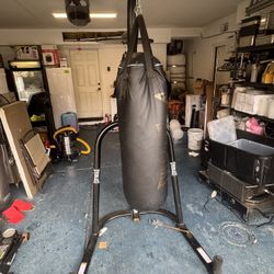 Everlast Punching Bag 