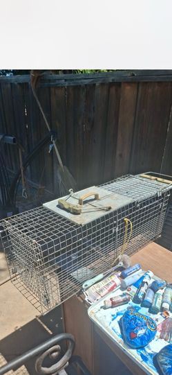 Critter cage or trap