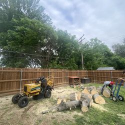 GOOD PRICE ON 🌳🌳Removal 
