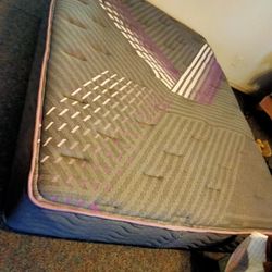 Queen Mattress 