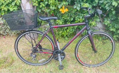 ZYCLE FIX CARRERA 350 HYBRID