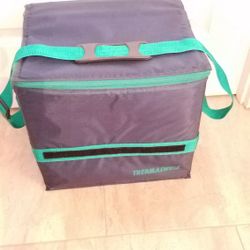 UNIQUE COOLER, NEW NEVER USED, LIGHT & STURDY, ZIPPER & VELCRO, FOLD WHEN EMPTY, 