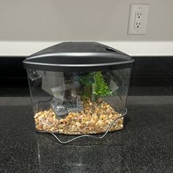 Fish Tank