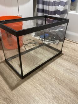 20 Gallon Tank And Accessories