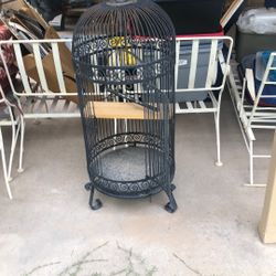 Bird Cage 