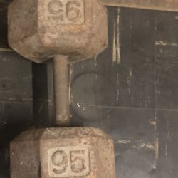 95lb (single) dumbbell