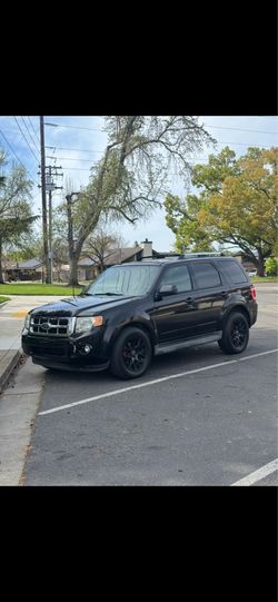 2010 ford escape v6 limited