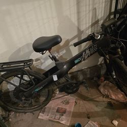 Ecotric seagull electric bike