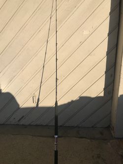 Fishing pole