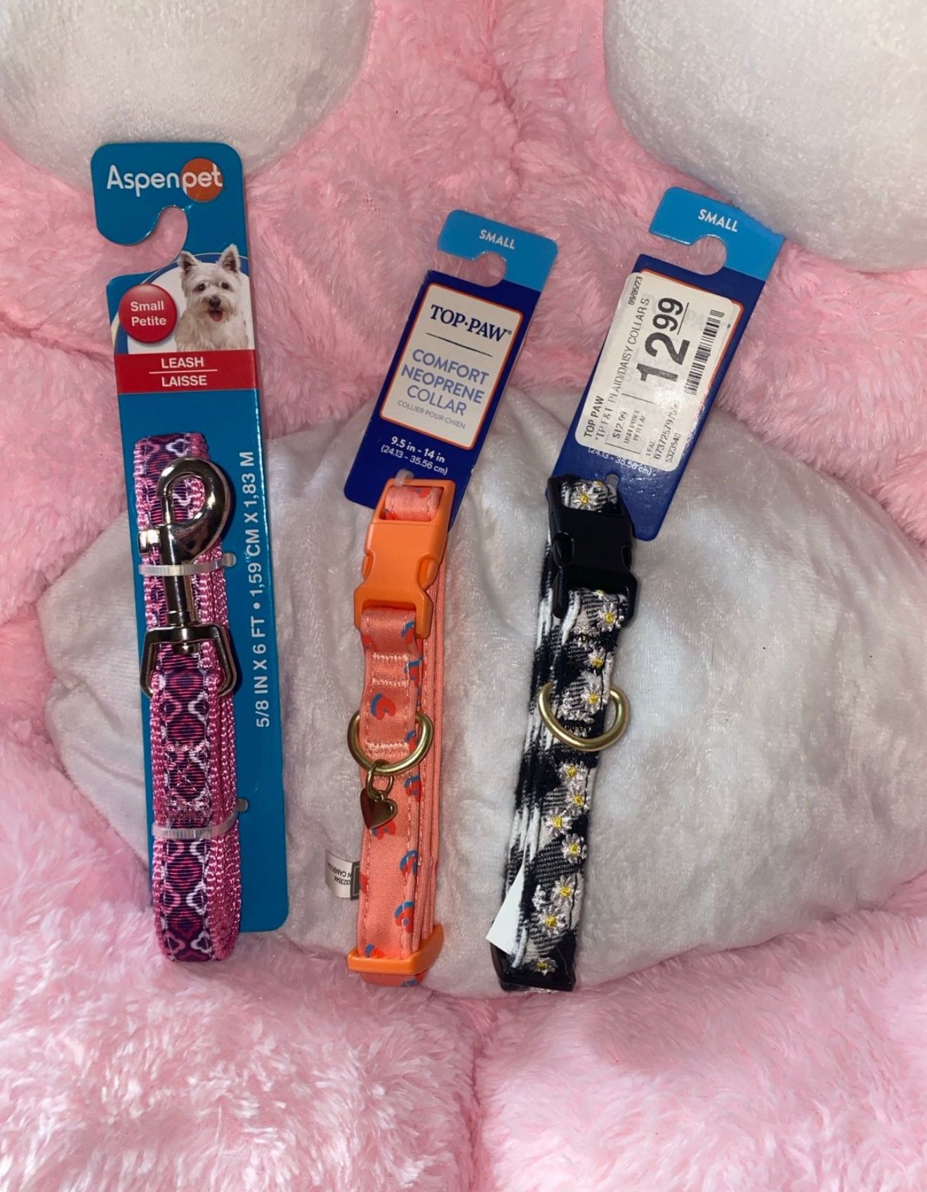 Small Dog Leash & Collars