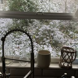 Miscellaneous Flower Plant Vases