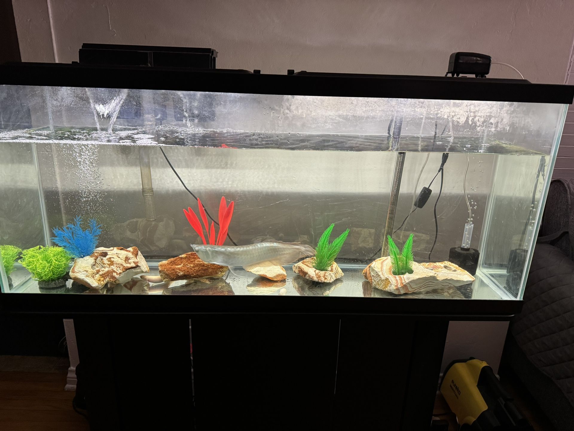 55 Gallons Fish Tank 