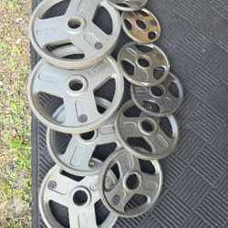Weight Olympic Plates 