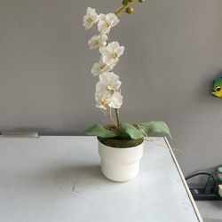 Orchid, Faux/silk