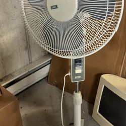 Fan - 5 Feet Tall 