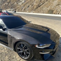 Mustang Carbon Hood