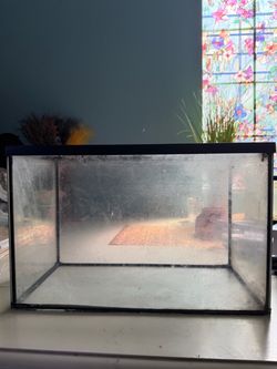 5 gallon tank