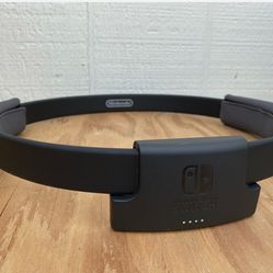 Nintendo switch band only