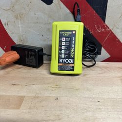 Ryobi 40v Charger 