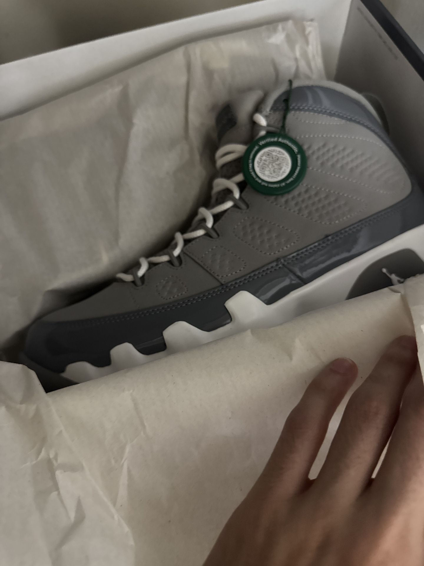 Jordan 9’s Cool Gray (9.5) Brand New