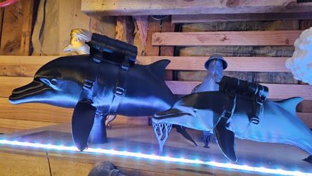 Mine dolphins