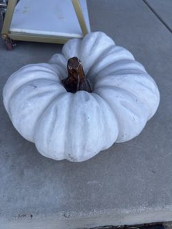 Pumpkin
