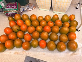 Persimmons (READ DESCRIPTION )