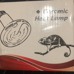 Reptile Light