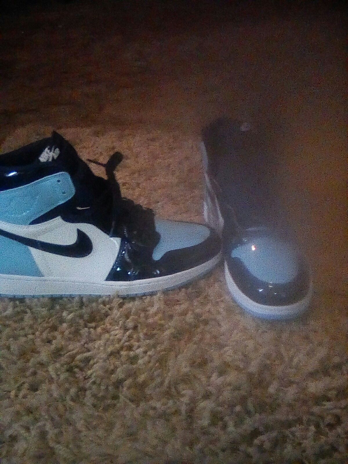 Jordan 1 brand new size 12