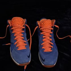 Nike Lebron Hardwood classic